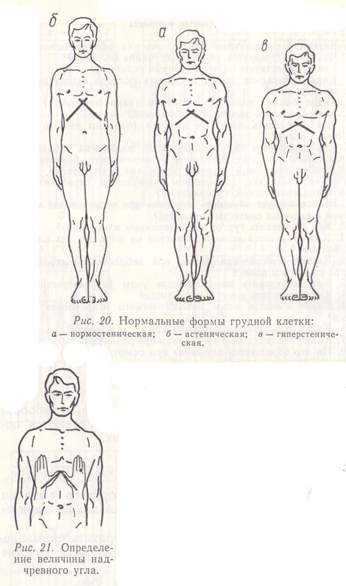Нормальные формы грудной клетки, определение величины надчревного угла