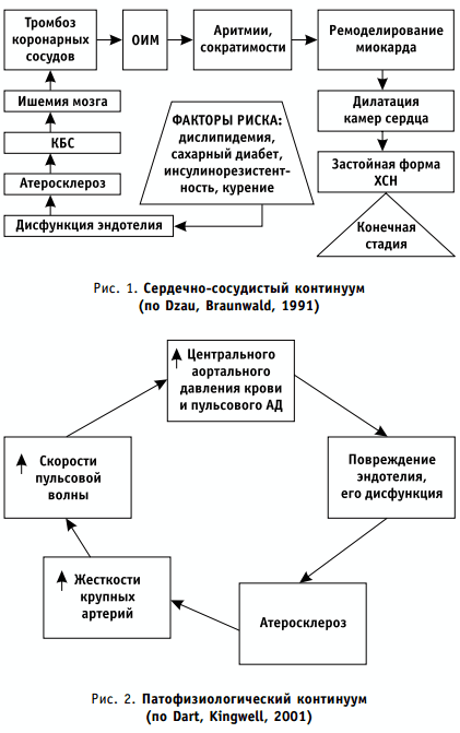 сердечно-сосудистый и патофизиологический континуум