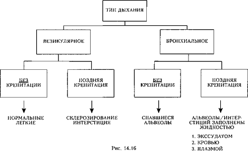 дифференциальная диагностика крепитации