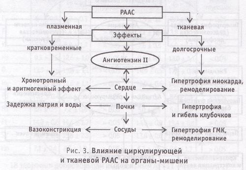 влияние циркулирующей и тканевой РААС на органы-мишени