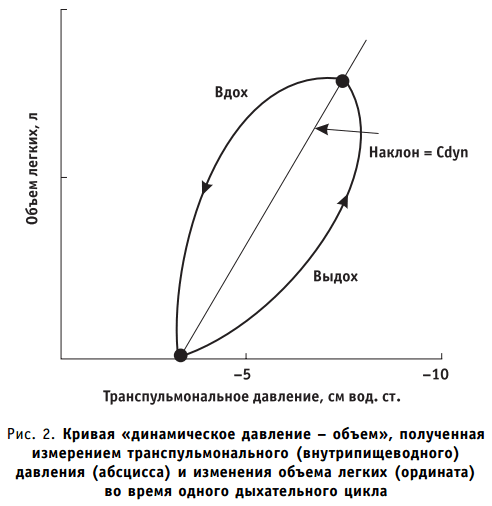Кривая «динамическое давление — объем», полученная измерением транспульмонального (внутрипищеводного) давления (абсцисса) и изменения объема легких (ордината) во время одного дыхательного цикла
