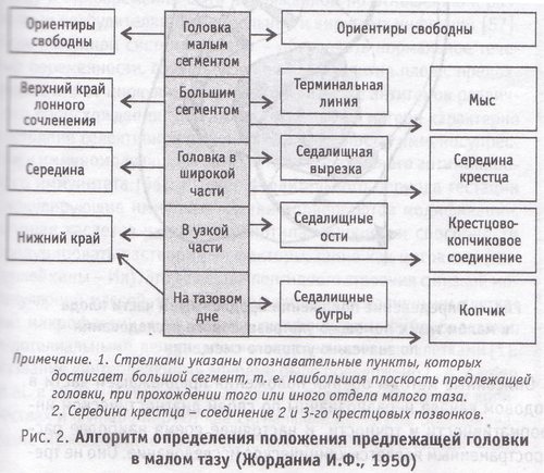 Алгоритм определения положения предлежащей головки в малом тазу (Жорданиа И. Ф., 1950)